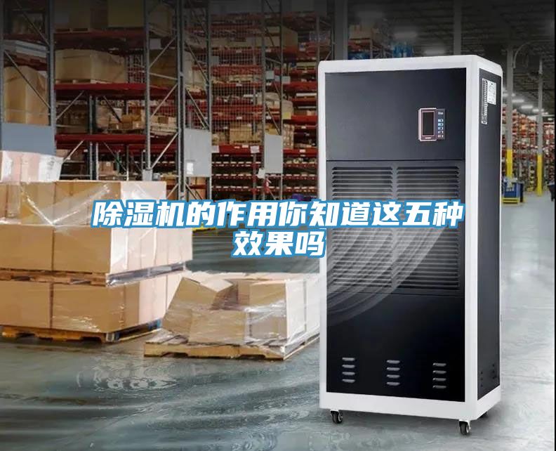 猫咪成人官网的作用你知道这五种效果吗