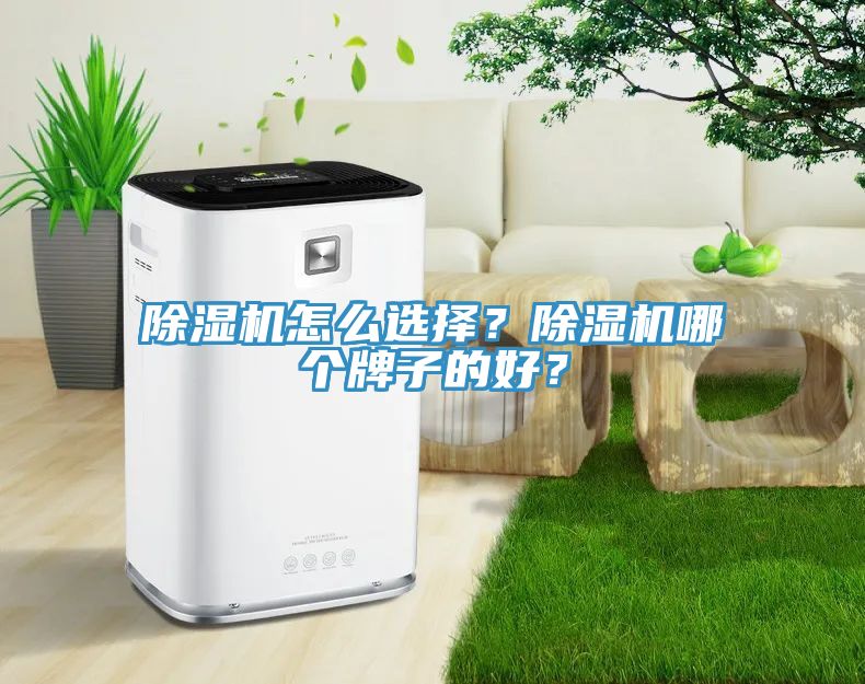 猫咪成人官网怎么选择？猫咪成人官网哪个牌子的好？