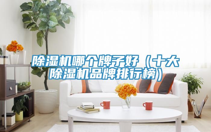 猫咪成人官网哪个牌子好（十大猫咪成人官网品牌排行榜）