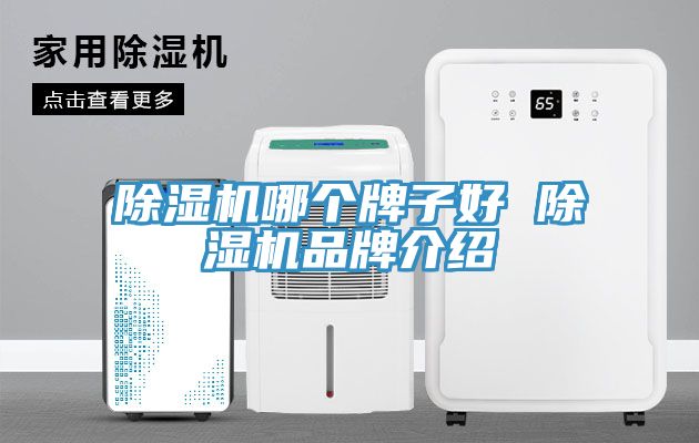 猫咪成人官网哪个牌子好 猫咪成人官网品牌介绍