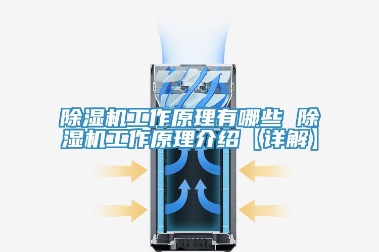 猫咪成人官网工作原理有哪些 猫咪成人官网工作原理介绍【详解】