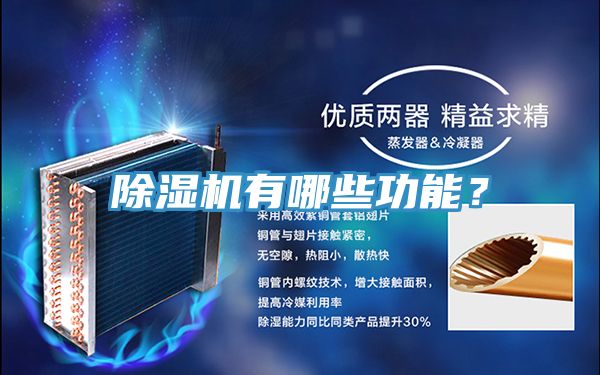 猫咪成人官网有哪些功能？