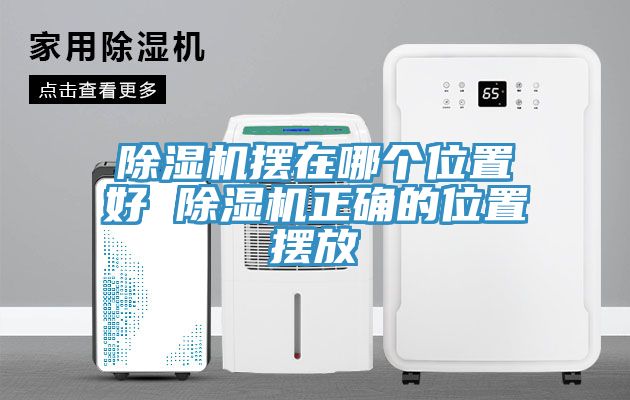 猫咪成人官网摆在哪个位置好 猫咪成人官网正确的位置摆放