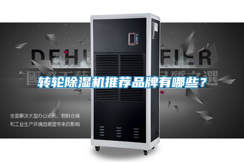 转轮猫咪成人官网推荐品牌有哪些？