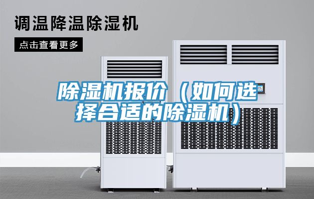 猫咪成人官网报价（如何选择合适的猫咪成人官网）