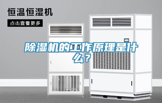 猫咪成人官网的工作原理是什么？
