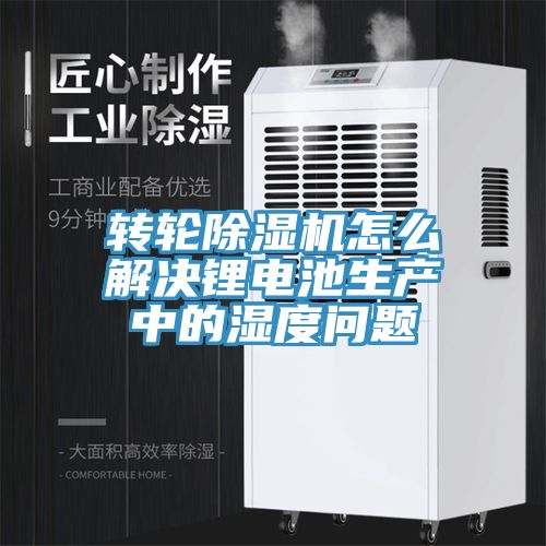 转轮猫咪成人官网怎么解决锂电池生产中的湿度问题