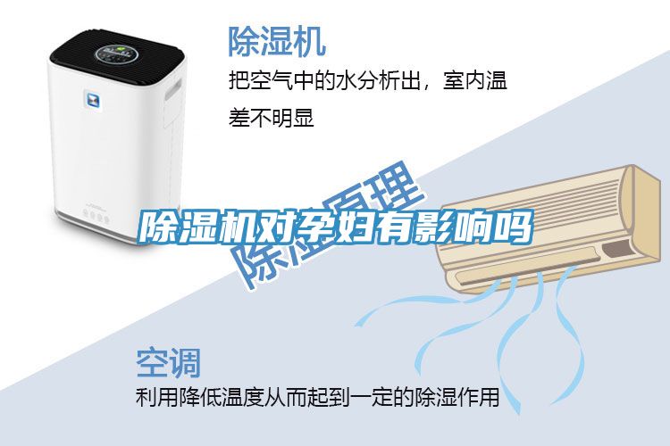 猫咪成人官网对孕妇有影响吗