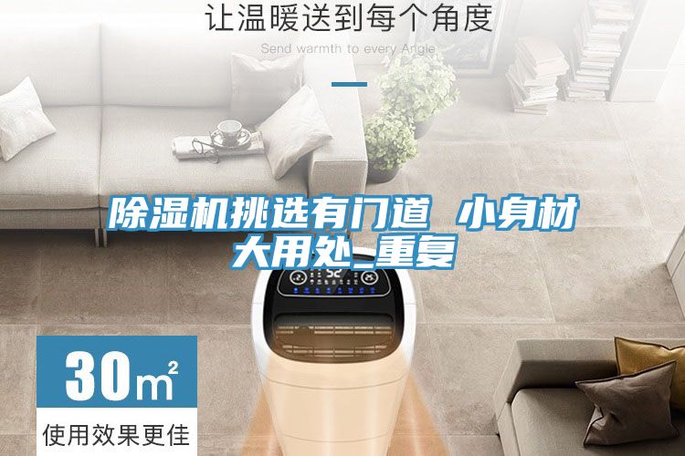 猫咪成人官网挑选有门道 小身材大用处_重复