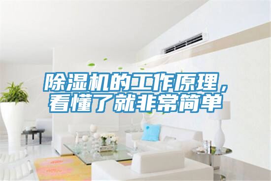 猫咪成人官网的工作原理，看懂了就非常简单