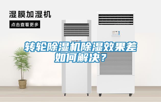 转轮猫咪成人官网除湿效果差如何解决？