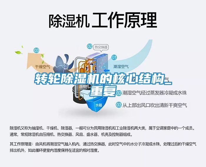 转轮猫咪成人官网的核心结构_重复