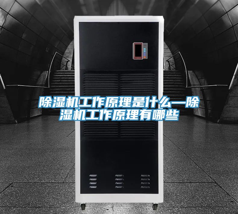 猫咪成人官网工作原理是什么—猫咪成人官网工作原理有哪些