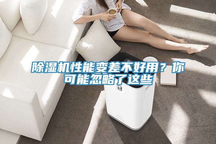 猫咪成人官网性能变差不好用？你可能忽略了这些