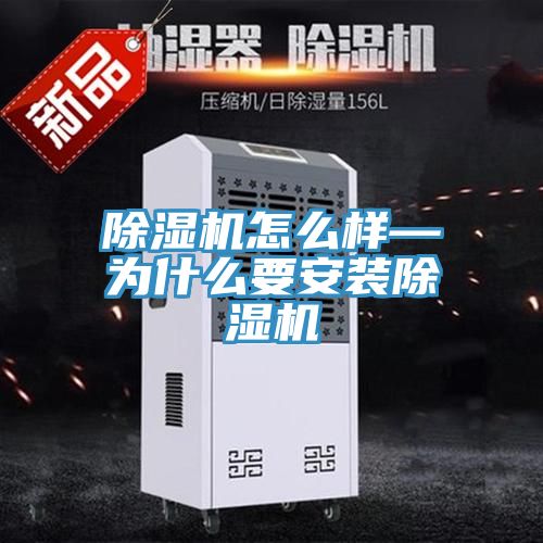 猫咪成人官网怎么样—为什么要安装猫咪成人官网