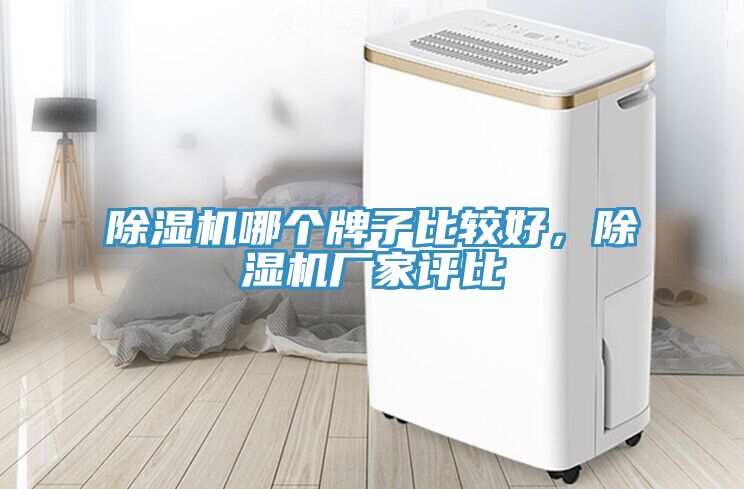 猫咪成人官网哪个牌子比较好，猫咪成人官网厂家评比