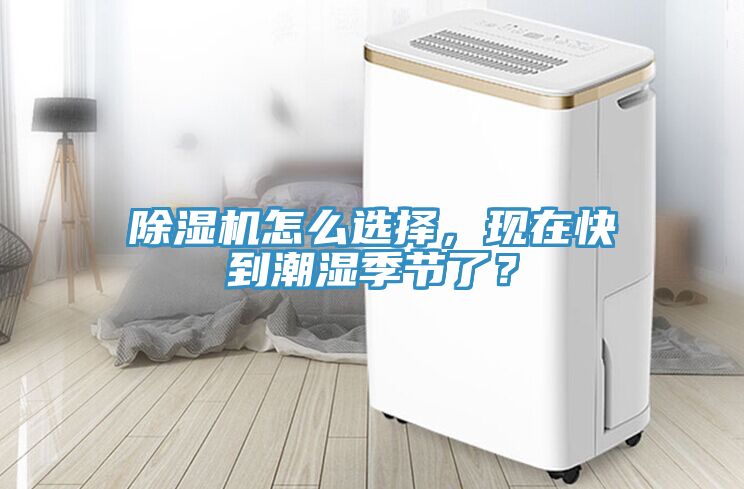 猫咪成人官网怎么选择，现在快到潮湿季节了？
