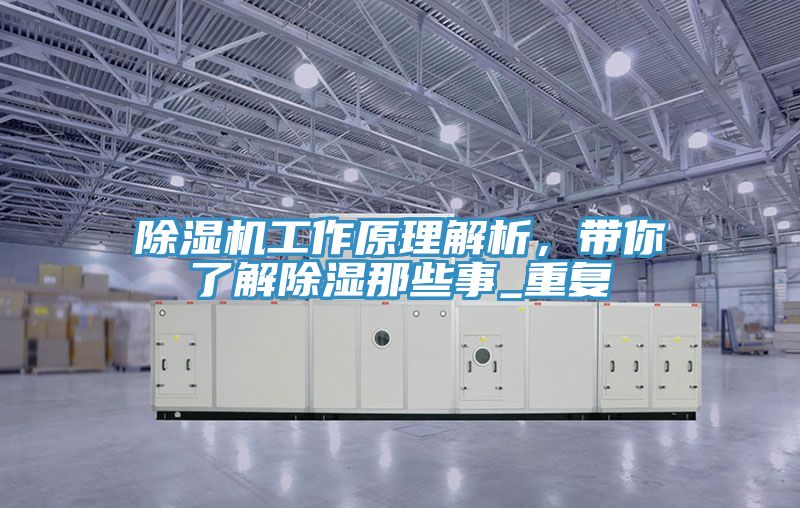 猫咪成人官网工作原理解析，带你了解除湿那些事_重复