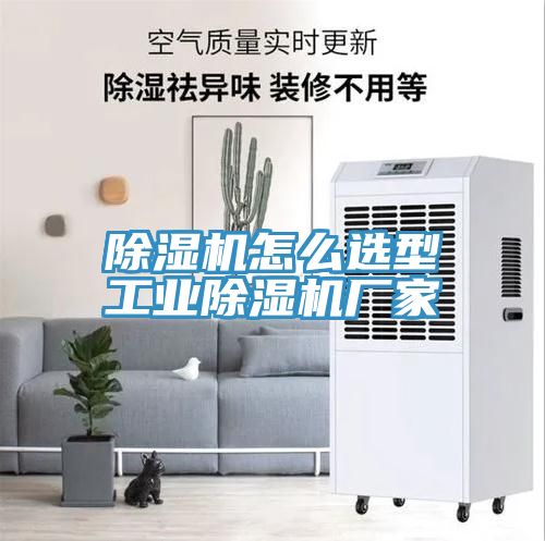 猫咪成人官网怎么选型工业猫咪成人官网厂家