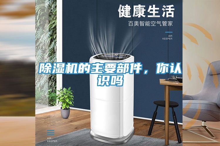 猫咪成人官网的主要部件，你认识吗