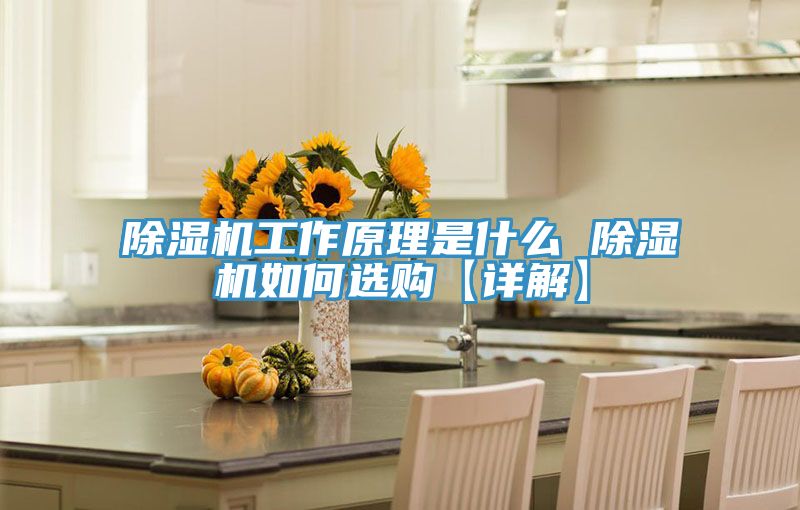 猫咪成人官网工作原理是什么 猫咪成人官网如何选购【详解】