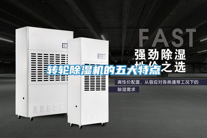 转轮猫咪成人官网的五大特点