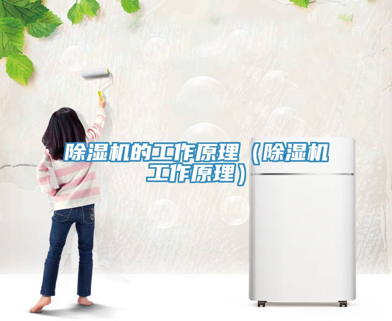 猫咪成人官网的工作原理（猫咪成人官网工作原理）