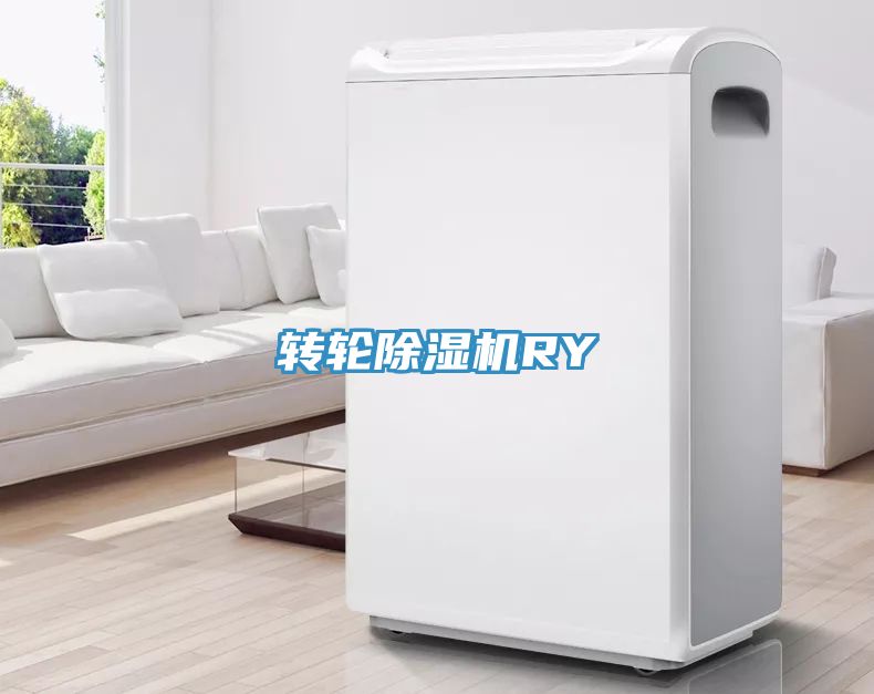 转轮猫咪成人官网RY