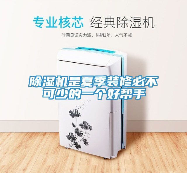 猫咪成人官网是夏季装修必不可少的一个好帮手