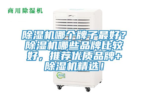 猫咪成人官网哪个牌子最好？猫咪成人官网哪些品牌比较好，推荐优质品牌+猫咪成人官网精选！