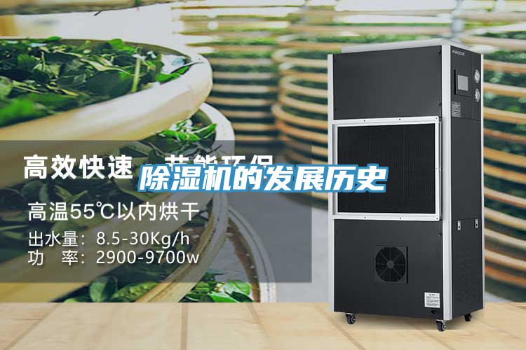 猫咪成人官网的发展历史