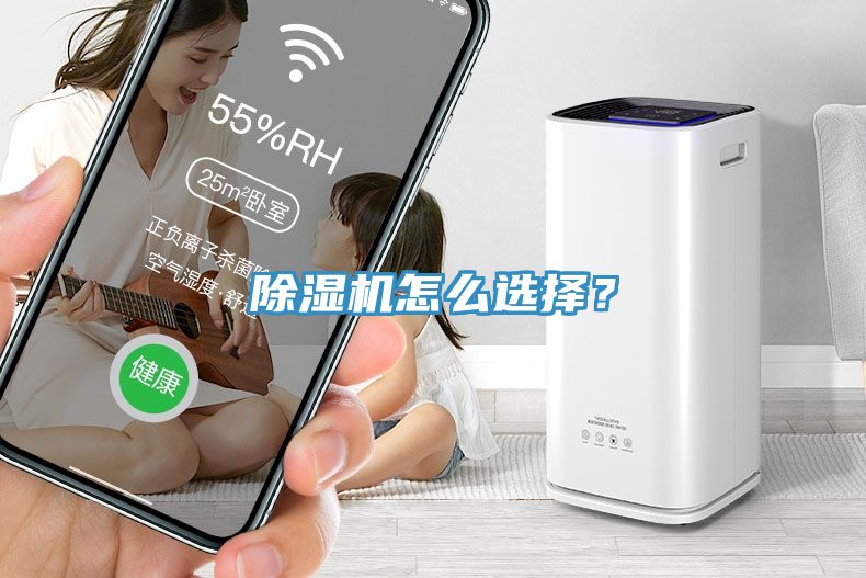 猫咪成人官网怎么选择？