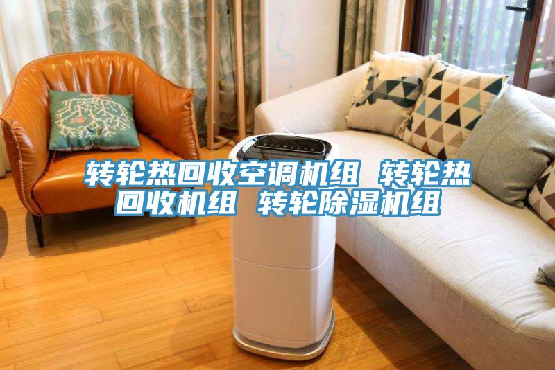 转轮热回收空调机组 转轮热回收机组 转轮猫咪成人官网组