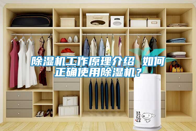 猫咪成人官网工作原理介绍 如何正确使用猫咪成人官网？