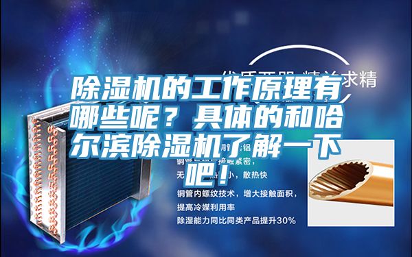 猫咪成人官网的工作原理有哪些呢？具体的和哈尔滨猫咪成人官网了解一下吧！