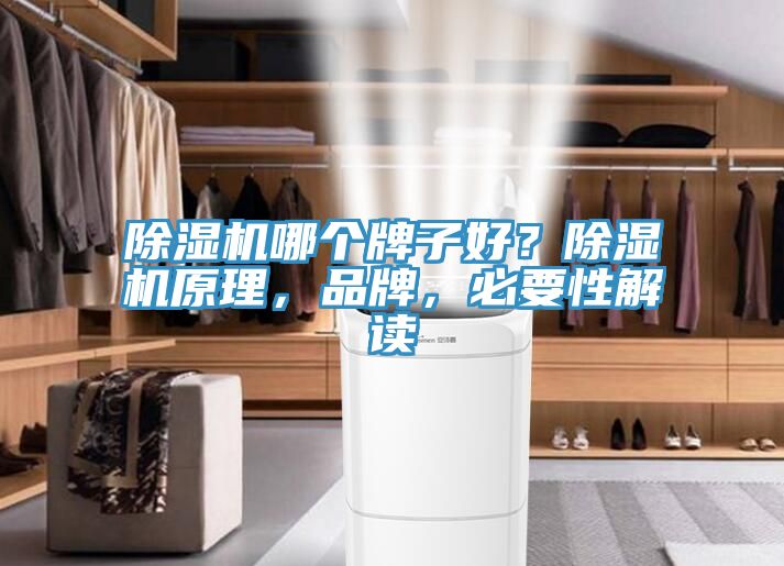 猫咪成人官网哪个牌子好？猫咪成人官网原理，品牌，必要性解读