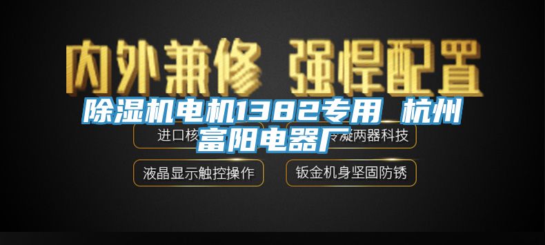 猫咪成人官网电机1382专用 杭州富阳电器厂