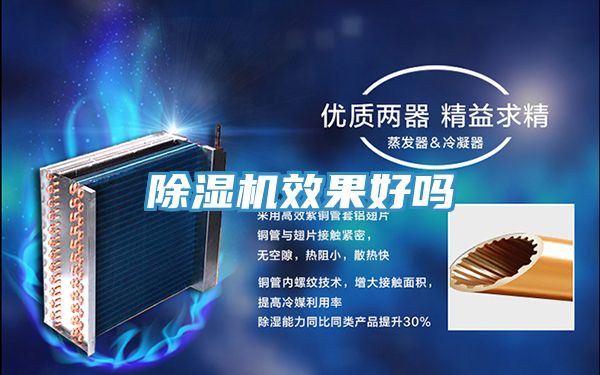 猫咪成人官网效果好吗