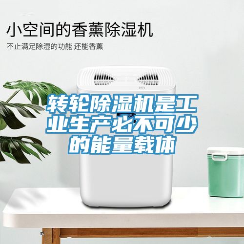 转轮猫咪成人官网是工业生产必不可少的能量载体