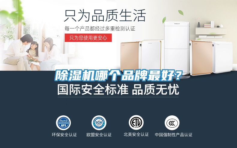 猫咪成人官网哪个品牌最好？