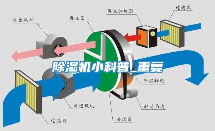 猫咪成人官网小科普_重复