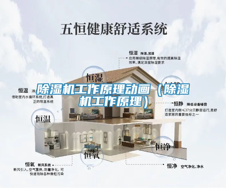 猫咪成人官网工作原理动画（猫咪成人官网工作原理）