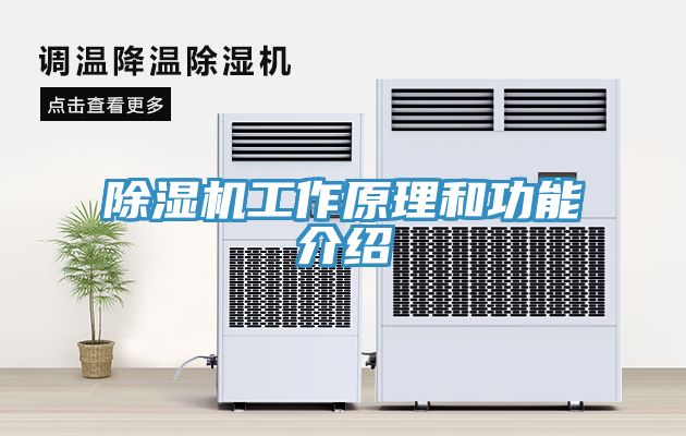 猫咪成人官网工作原理和功能介绍