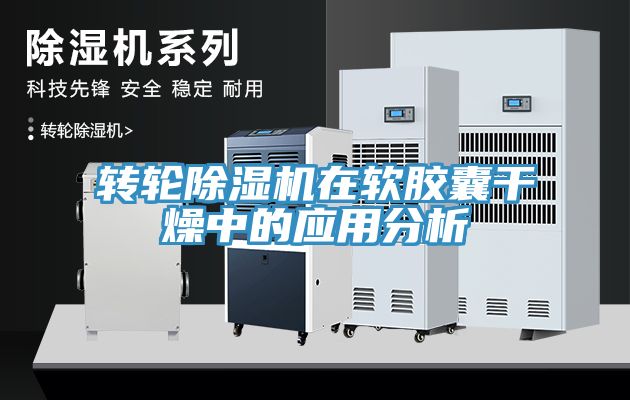 转轮猫咪成人官网在软胶囊干燥中的应用分析