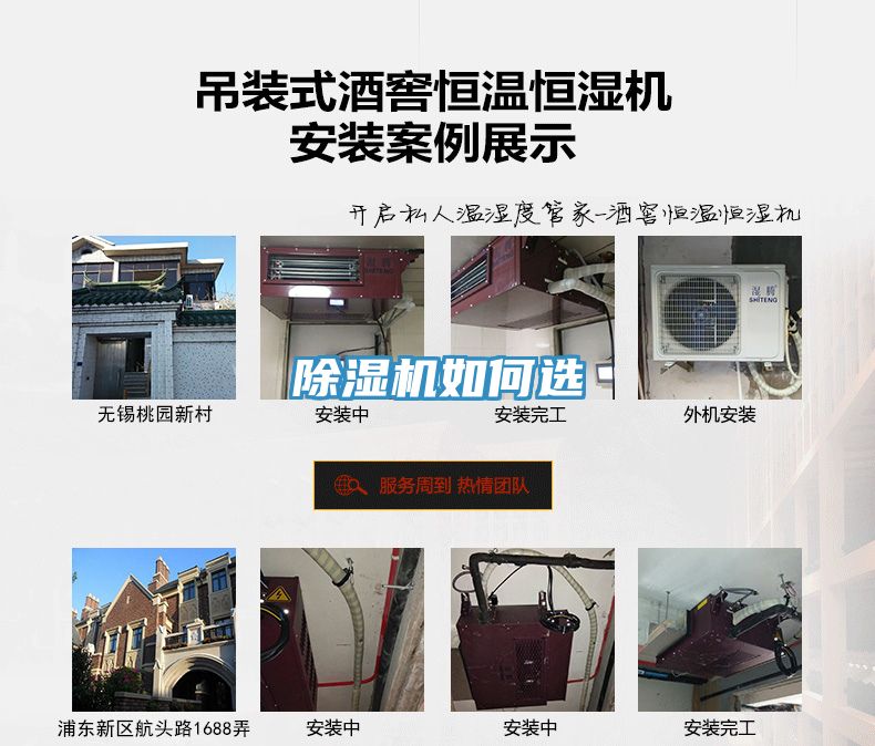 猫咪成人官网如何选