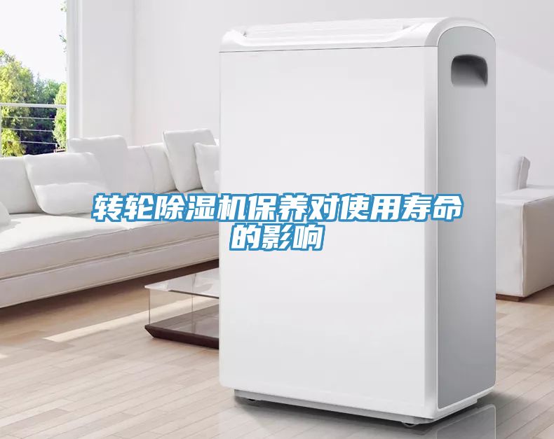 转轮猫咪成人官网保养对使用寿命的影响