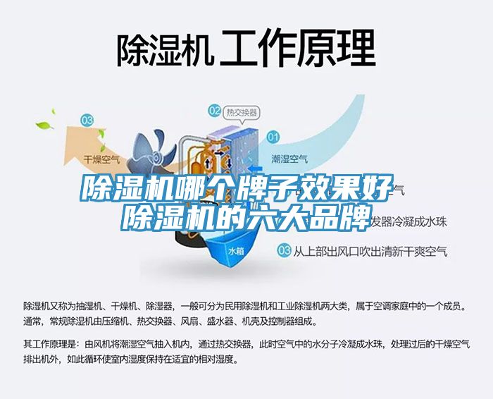 猫咪成人官网哪个牌子效果好 猫咪成人官网的六大品牌