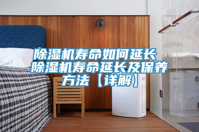 猫咪成人官网寿命如何延长 猫咪成人官网寿命延长及保养方法【详解】
