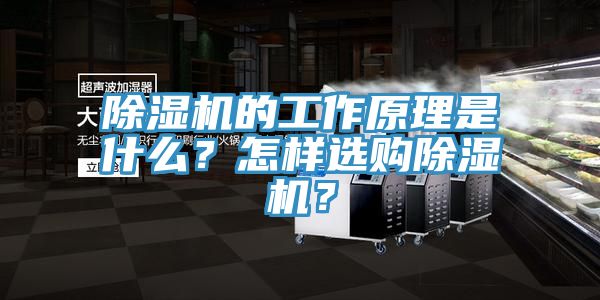 猫咪成人官网的工作原理是什么？怎样选购猫咪成人官网？