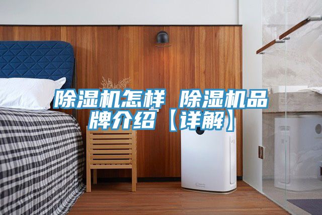 猫咪成人官网怎样 猫咪成人官网品牌介绍【详解】